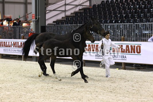 PRINCESS LIESA_MILANO_2010_SS3_7443.jpg